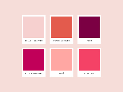 Color Palette: Basket Case Gifts brand brand guide brand identity color color palette fun girly palette peach pink play plum raspberry rose