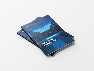 +WoundDesk Security Whitepaper brochure dctrl design digitalmedlab ehealth ehr emr mhealth security swiss switzerland wounddesk zurich