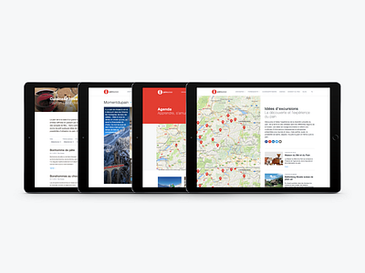 Website Schweizer Brot / Pain suisse dctrl design development swiss switzerland ui ux webdesign zurich