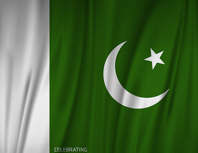 Pakistan Flag Design 14august adobe illustrator adobe photoshop awesome logo book illustration branding celebration flag graphic design illustration independenceday pakistan professional vector