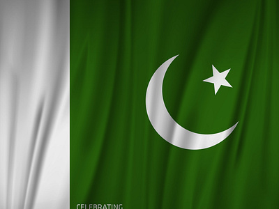 Pakistan Flag Design