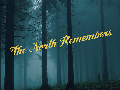 The North Remembers forest typography winter