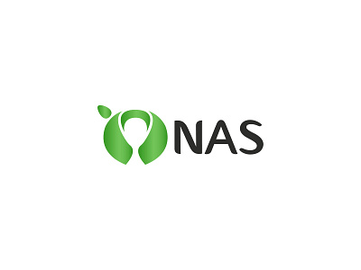 Nas Logo branding corporate design logo