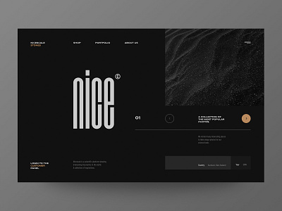 Nicescale - Science Website concept