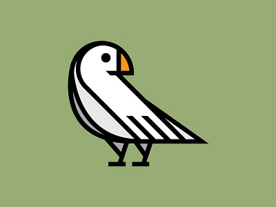 Bird Illustration animal bird illustration line art minimal seagull