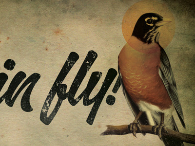 Fly Robin Fly! argentina grunge juan gomez alzaga robin typography vintage