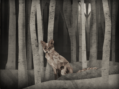 Fox illustration texture
