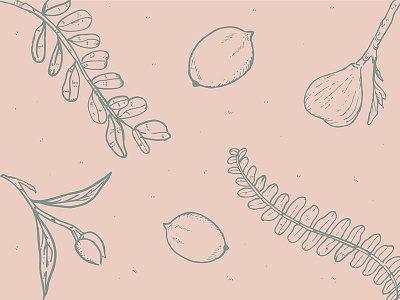 Nutricion Natural Pattern botanical brand floral illustration lineart pastel pattern sketch
