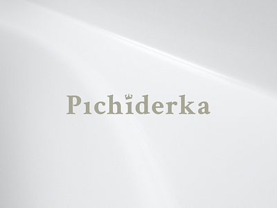 Pichiderka logo app branding design graphic design icon logo typography