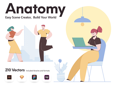 Anatomy illustrations Builder