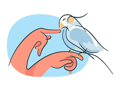 Hands n Bird illustration