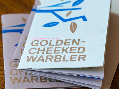 golden-cheeked warbler austin bird book booklet field guide illustration leaf nature riso risograph tree