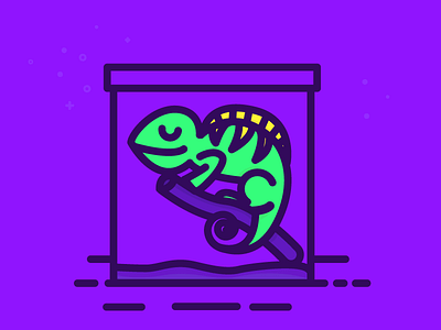 chameleon animal bright chameleon climate color illustration reptile tropical wildlife