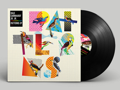 Dale Earnhardt Jr. Jr. Patterns Album Cover album birds cover dale earnhardt jr. jr. music package pattern vinyl