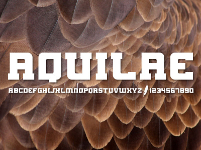 AQUILAE - Slab Serif