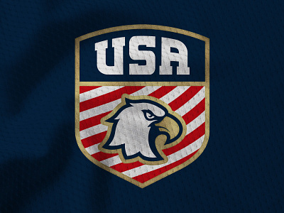 Vote! USA Hockey Jersey Design Contest - Closeup america eagle font gold hockey jersey sports states united usa