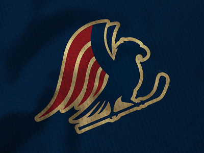 Vote! USA Hockey Jersey Design Contest - Closeup america eagle font gold hockey jersey sports states united usa