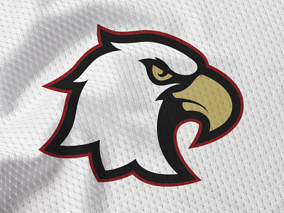 Boston College Eagles Concept boston college concept eagle eagles logo massachusetts sports