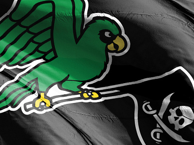 Raise It - 26Shirts Pittsburgh baseball bird flag hat illustration mlb parrot pirates pittsburgh shirt sports