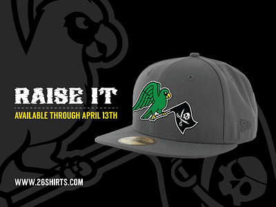 Raise It - New Era Cap baseball bird cap flag hat illustration mlb parrot pirates pittsburgh snapback sports