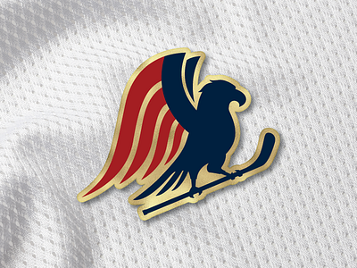 Miracles america eagle flag hockey united states usa