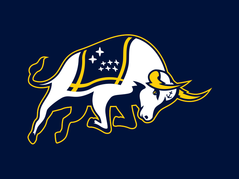 Hsc 26 Chargers Shirt Bull By Dylan Winters On Dribbble