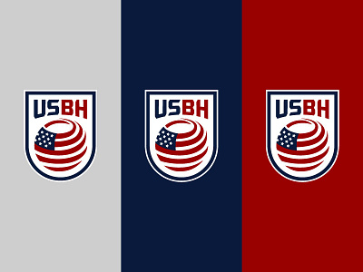 USBH - United States Ball Hockey ball hockey flag hockey logo sports united states usa