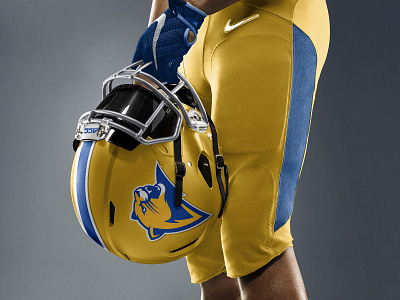 Pitt Panther 3.0 Concept : Alternate Football Helmet Mockup