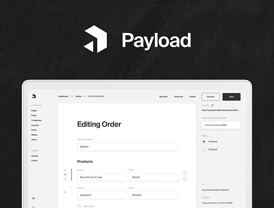 Introducing Payload CMS app brand branding ux uxui web design website