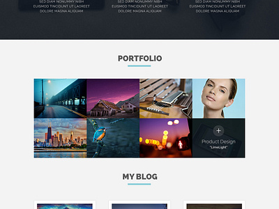 Portfolio Site Freebie By Mushfiq 🔥 On Dribbble