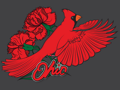 Ohio Illustration bird cardinal carnations flowers home illustration midwest ohio red state vector