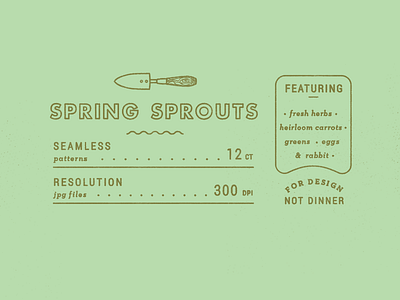 Spring Sprouts