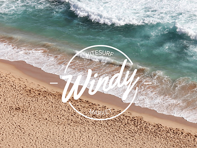 Windy Kitesurf Marketplace beach kite kitesurf logo ocean summer windy