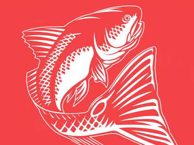 Redfish Illustration