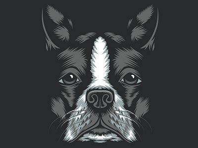 Golden Doodle Goods™ - Boston Terrier Illustration animal boston terrier dogs golden doodle goods illustration shirt design