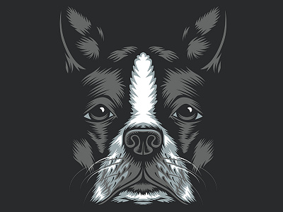 Golden Doodle Goods™ - Boston Terrier Illustration