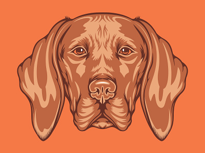 Vizsla Illustration for Golden Doodle Goods™ animal animal lover artwork brand dog illustration mans best friend pet puppy tee vector vizsla