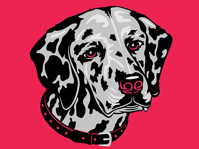 Dalmatian Illustration for Golden Doodle Goods™