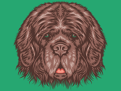 Newfoundland for Golden Doodle Goods™