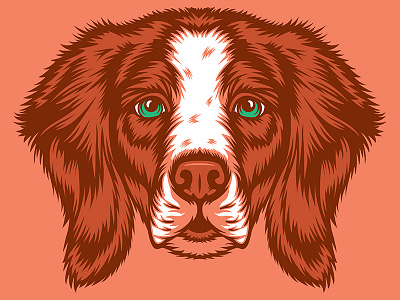 Brittany Illustration for Golden Doodle Goods™ animal apparel brittany brittany dog dog dog illustration dog lover golden doodle goods illustration puppy shirt design