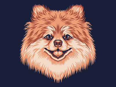 Pomeranian Illustration for Golden Doodle Goods™ animal dog doggy fur graphic illustration pet pomeranian puppy vector