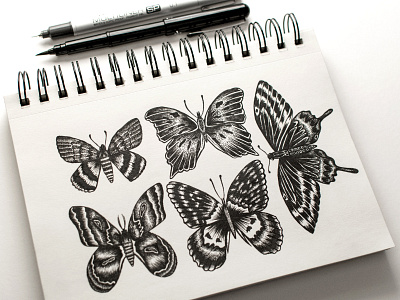 Inktober - Butterfly Collection butterfly collection drawing handdrawn illustration ink inktober sketchbook