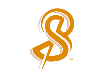 BSS Logo branding concept identity logo mark monogram type