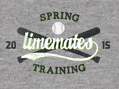 Spring Training t-shirt baseball print spring t shirt training