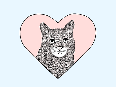 Valentine Bae cat handdrawn heart illustration kitty love meow pastels