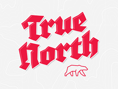 Announcing True North beer, a brand for sale bear beer brand for sale branding canada logo polar bear true north