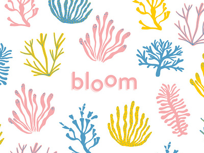 Bloom Brand Pattern algae branding coral pastel pattern