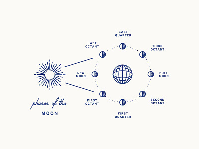 Moon Phase Diagram braizen branding cannabis diagram farm infographic moon