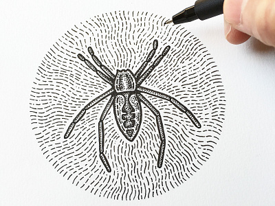 Yellow garden spider doodle drawing illustration indiana indianaart indianaartist ink penandink shading sketch spider stipple