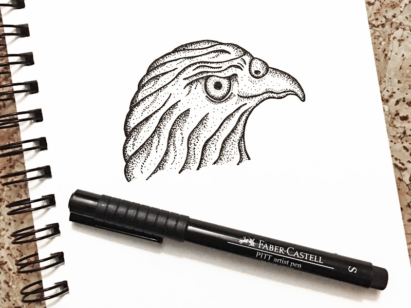 Red-tailed hawk by Dennis Good on Dribbble